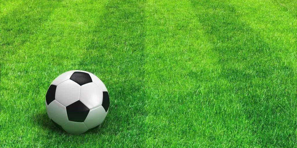 用户李女士头像